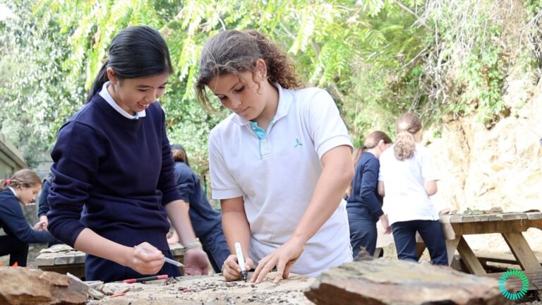Lee más sobre el artículo Opcionalidad en el aula